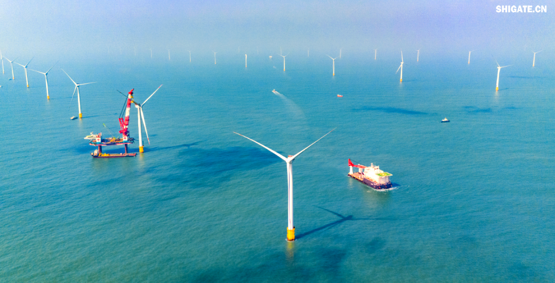 1756003658490566.png 4662df32a6fca3c0ddc07c25106a0ed5.png